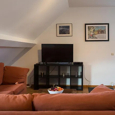 Apartment Grand Marie-therese *